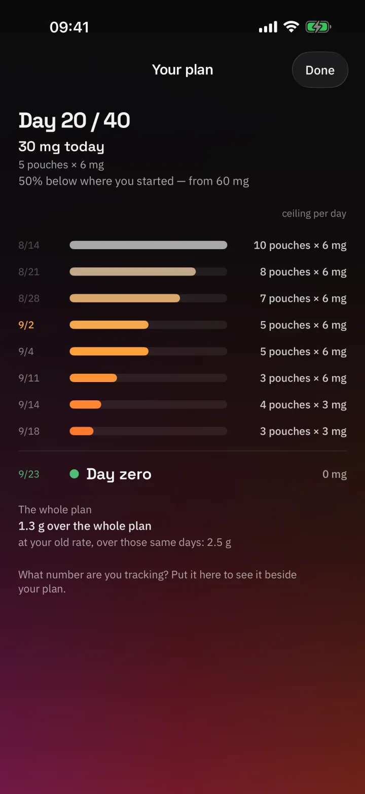 The plan screen: day 20 of 40, dated rungs descending to day zero